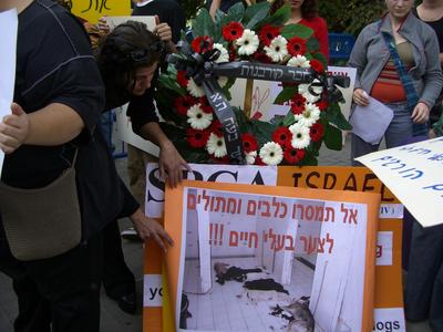 לזכר הקורבנות