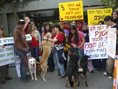 באו להפגין למען חברים על ארבע